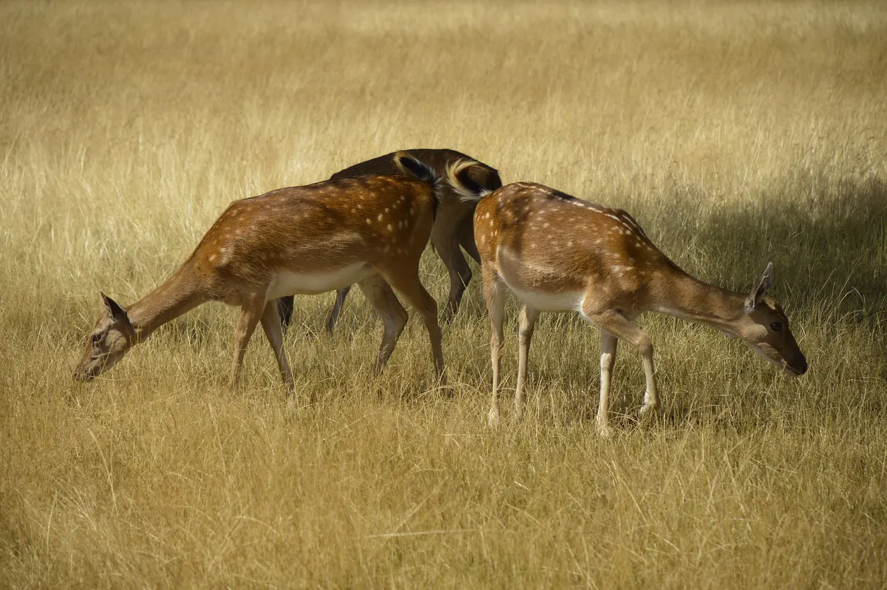 Highlights of Surrey, England 4