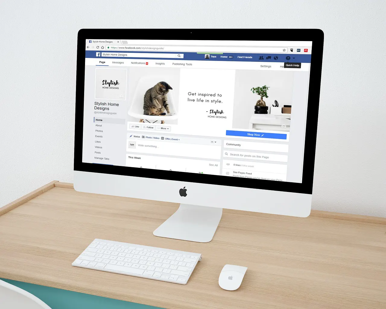 Creating Your First Website 1